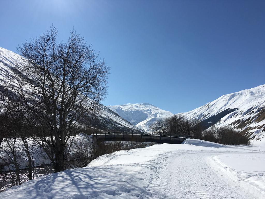Bnb Bellavista Apartment Andermatt Εξωτερικό φωτογραφία