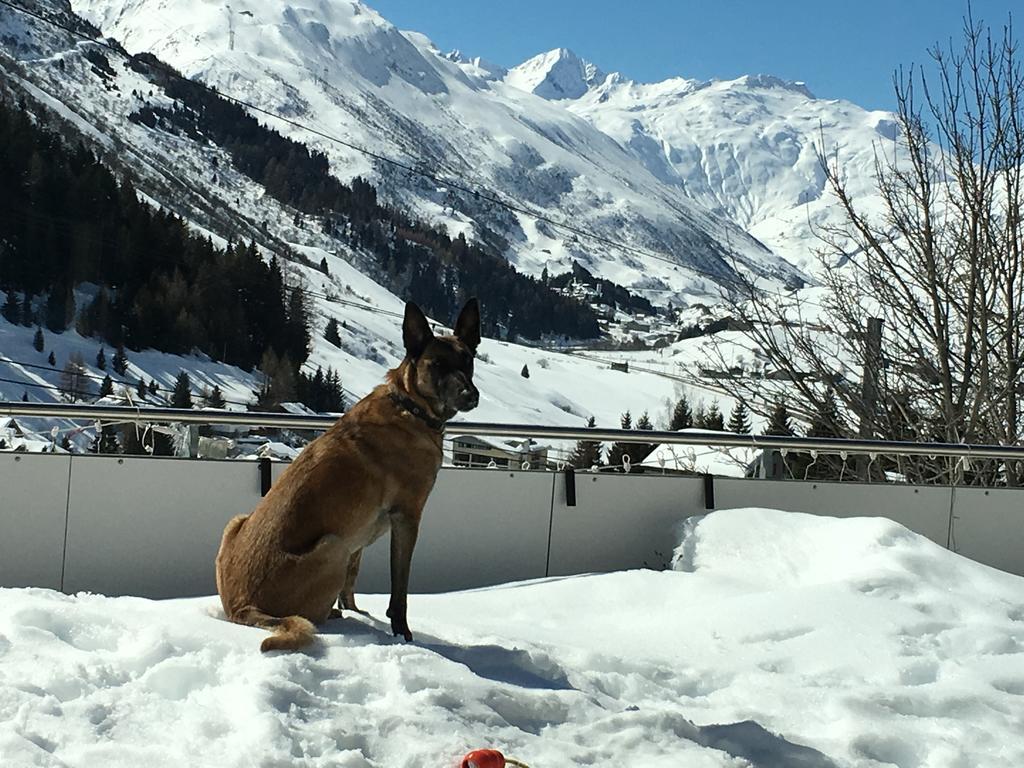 Bnb Bellavista Apartment Andermatt Εξωτερικό φωτογραφία